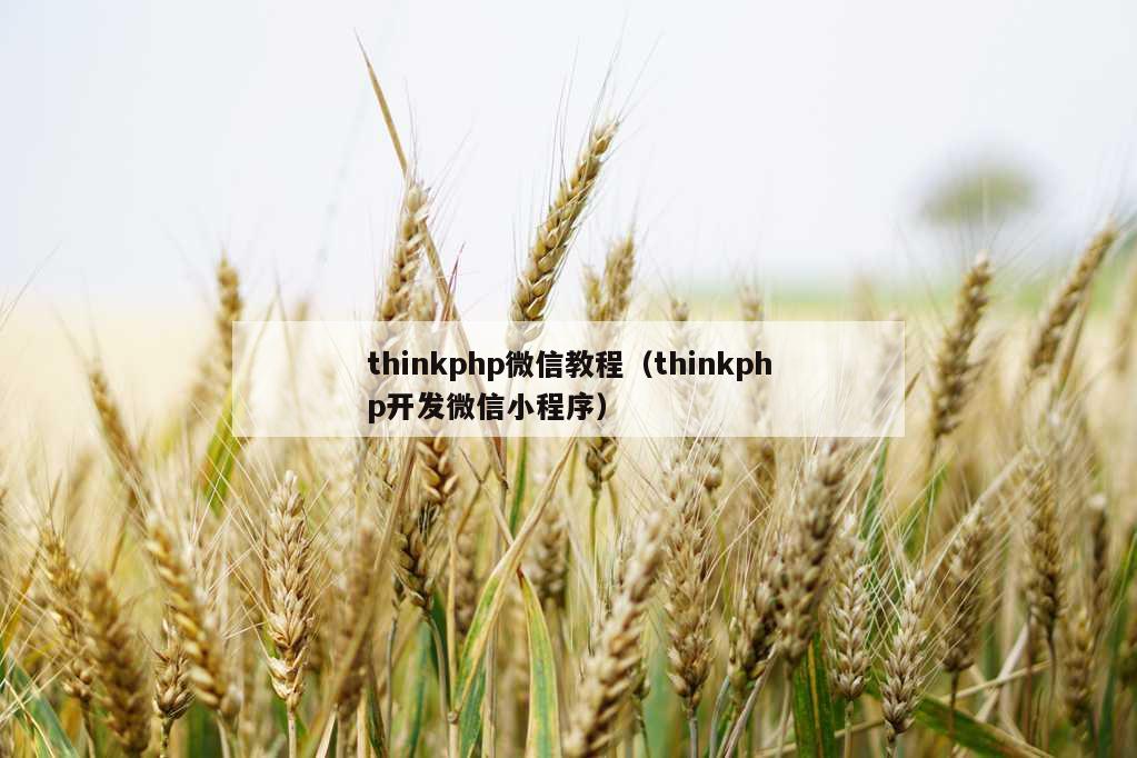 thinkphp微信教程（thinkphp开发微信小程序）