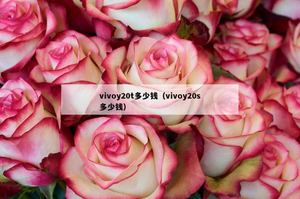 vivoy20t多少钱（vivoy20s多少钱）