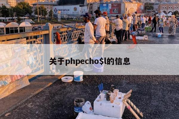 关于phpecho$l的信息