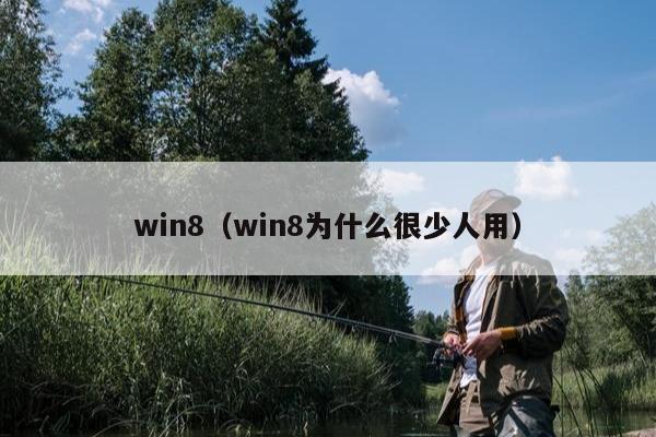 win8（win8为什么很少人用）