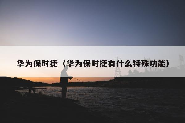 华为保时捷（华为保时捷有什么特殊功能）