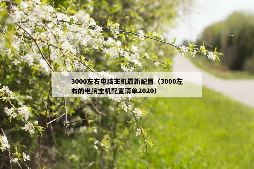 3000左右电脑主机最新配置（3000左右的电脑主机配置清单2020）