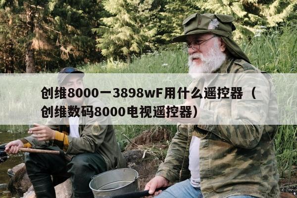 创维8000一3898wF用什么遥控器（创维数码8000电视遥控器）