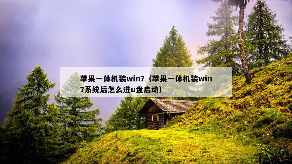 苹果一体机装win7（苹果一体机装win7系统后怎么进u盘启动）