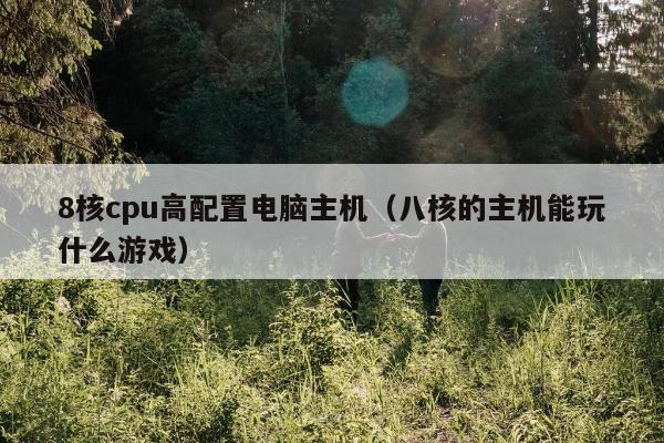 8核cpu高配置电脑主机（八核的主机能玩什么游戏）