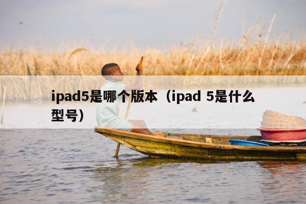 ipad5是哪个版本（ipad 5是什么型号）