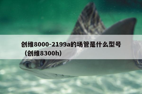 创维8000-2199a的场管是什么型号（创维8300h）