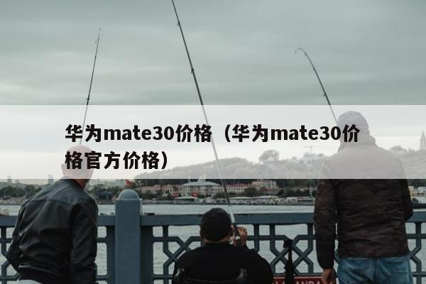 华为mate30价格（华为mate30价格官方价格）