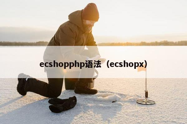 ecshopphp语法（ecshopx）