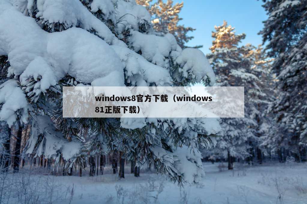 windows8官方下载（windows81正版下载）