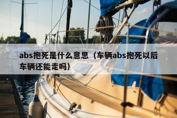 abs抱死是什么意思（车辆abs抱死以后车辆还能走吗）