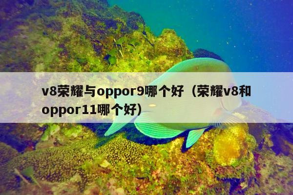 v8荣耀与oppor9哪个好（荣耀v8和oppor11哪个好）