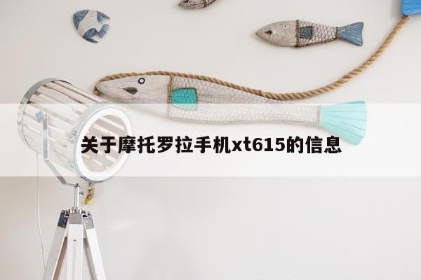 关于摩托罗拉手机xt615的信息