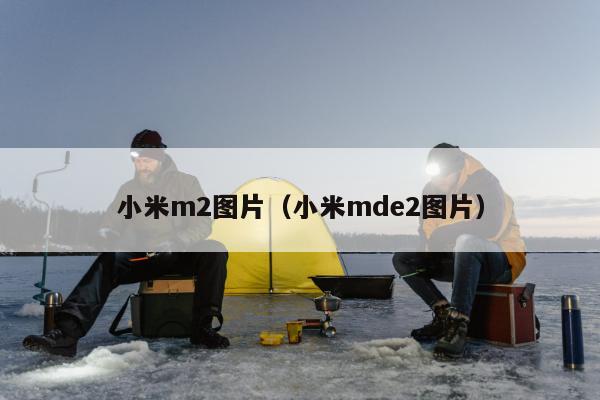 小米m2图片（小米mde2图片）