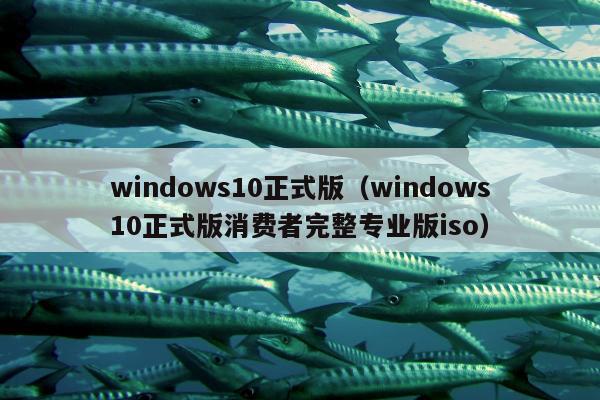 windows10正式版（windows10正式版消费者完整专业版iso）