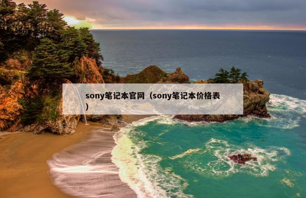 sony笔记本官网（sony笔记本价格表）