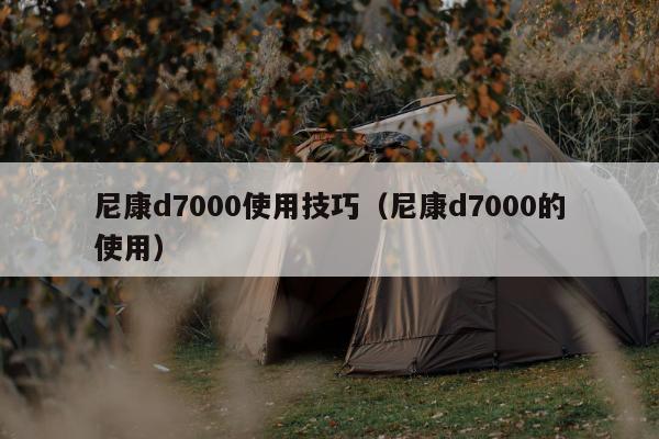 尼康d7000使用技巧（尼康d7000的使用）