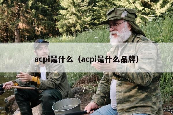 acpi是什么（acpi是什么品牌）