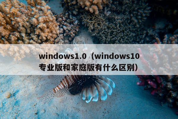 windows1.0（windows10专业版和家庭版有什么区别）