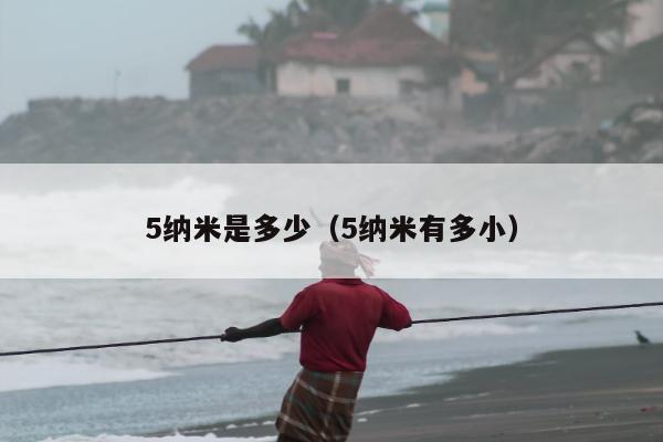 5纳米是多少（5纳米有多小）