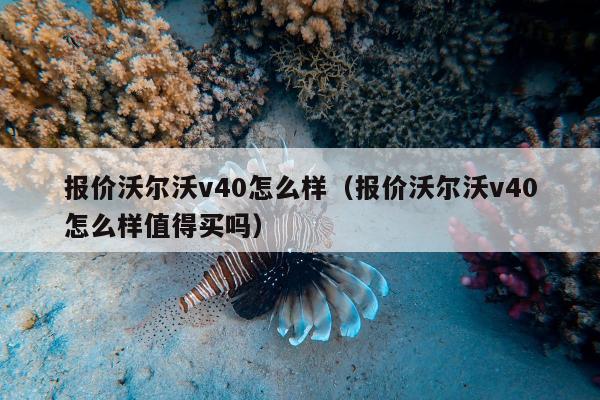 报价沃尔沃v40怎么样（报价沃尔沃v40怎么样值得买吗）