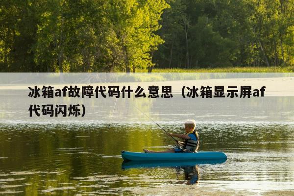 冰箱af故障代码什么意思（冰箱显示屏af代码闪烁）