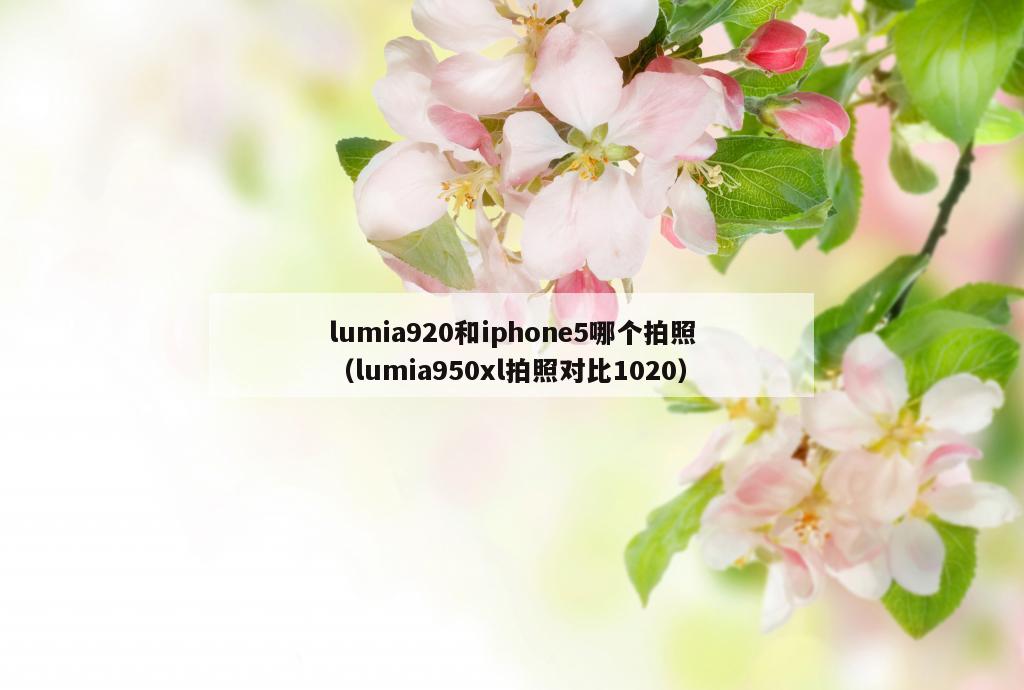 lumia920和iphone5哪个拍照（lumia950xl拍照对比1020）