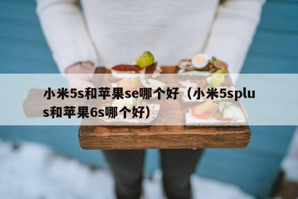 小米5s和苹果se哪个好（小米5splus和苹果6s哪个好）