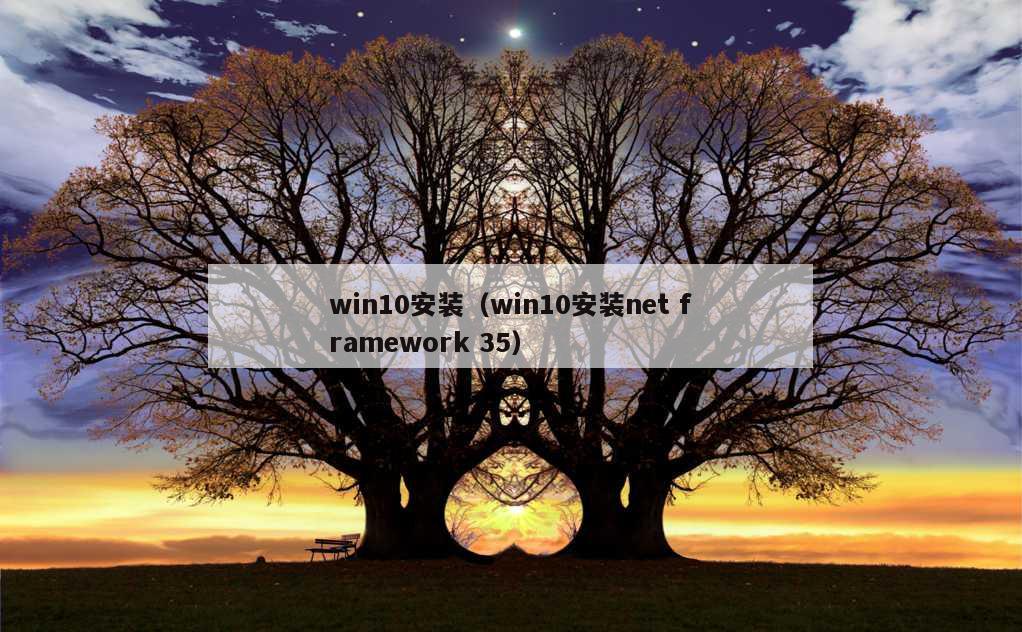 win10安装（win10安装net framework 35）