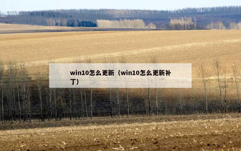 win10怎么更新（win10怎么更新补丁）