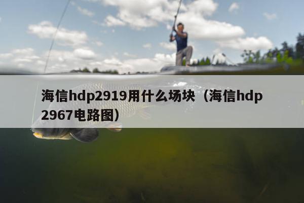 海信hdp2919用什么场块（海信hdp2967电路图）