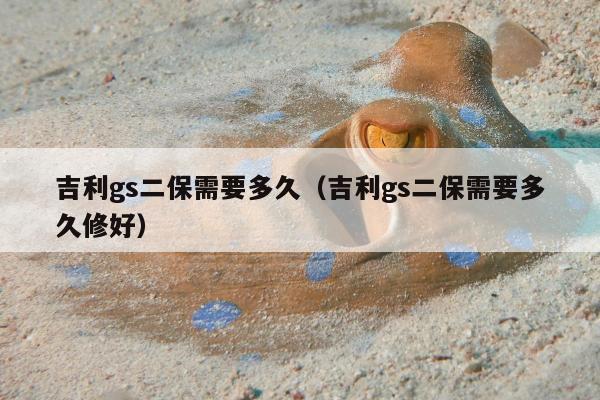 吉利gs二保需要多久（吉利gs二保需要多久修好）