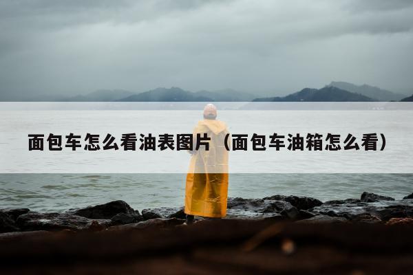 面包车怎么看油表图片（面包车油箱怎么看）