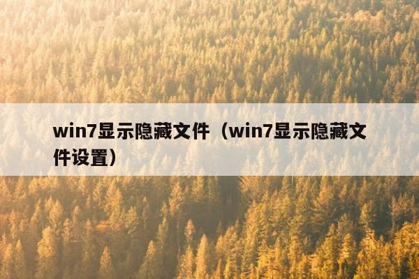 win7显示隐藏文件（win7显示隐藏文件设置）