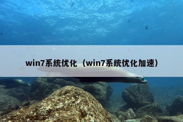 win7系统优化（win7系统优化加速）