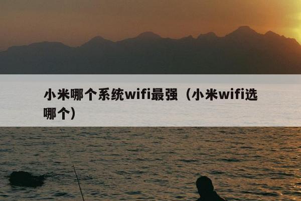 小米哪个系统wifi最强（小米wifi选哪个）