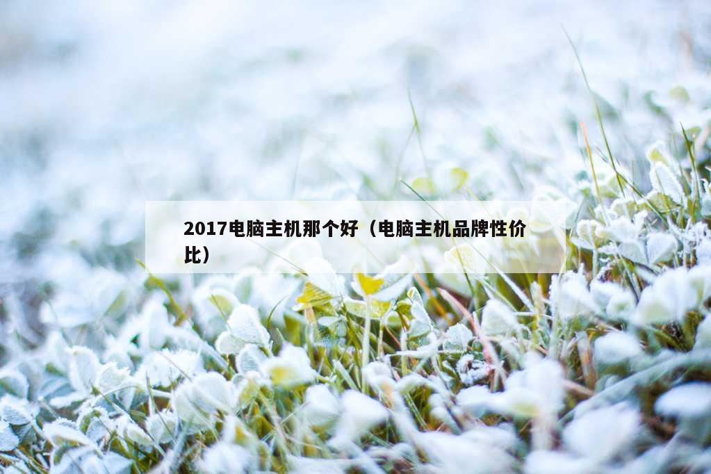 2017电脑主机那个好（电脑主机品牌性价比）