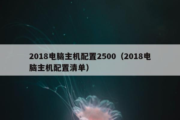 2018电脑主机配置2500（2018电脑主机配置清单）