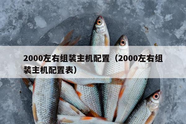 2000左右组装主机配置（2000左右组装主机配置表）