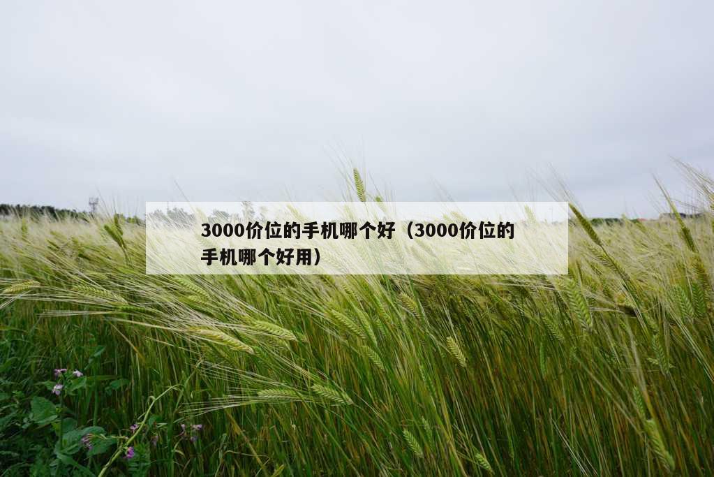 3000价位的手机哪个好（3000价位的手机哪个好用）