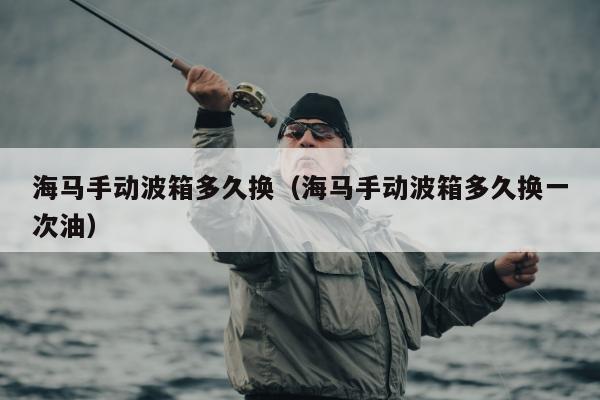 海马手动波箱多久换（海马手动波箱多久换一次油）