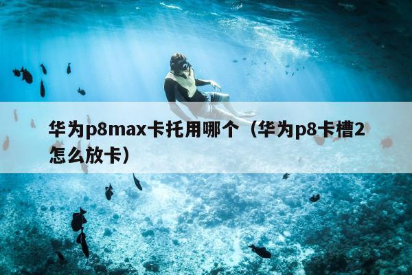 华为p8max卡托用哪个（华为p8卡槽2怎么放卡）