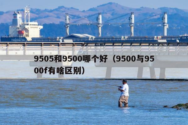 9505和9500哪个好（9500与9500f有啥区别）