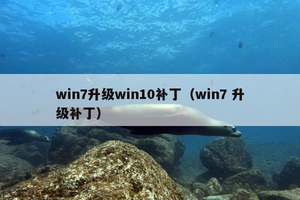 win7升级win10补丁（win7 升级补丁）