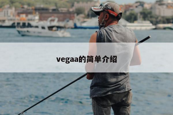 vegaa的简单介绍