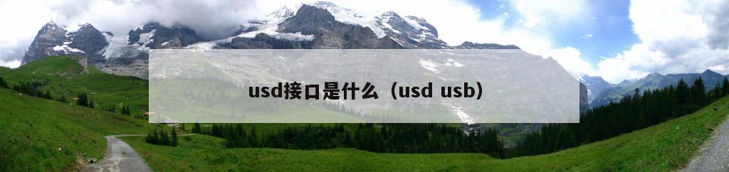 usd接口是什么（usd usb）