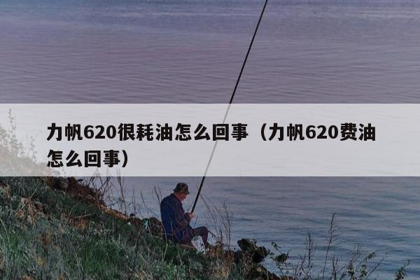 力帆620很耗油怎么回事（力帆620费油怎么回事）