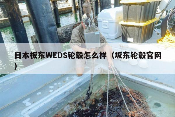 日本板东WEDS轮毂怎么样（坂东轮毂官网）