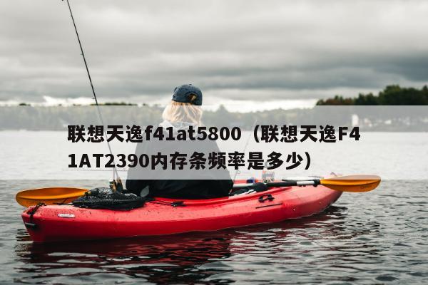 联想天逸f41at5800（联想天逸F41AT2390内存条频率是多少）