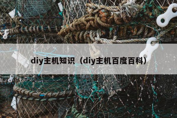 diy主机知识（diy主机百度百科）